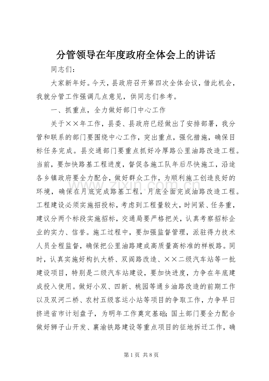 分管领导在年度政府全体会上的讲话.docx_第1页