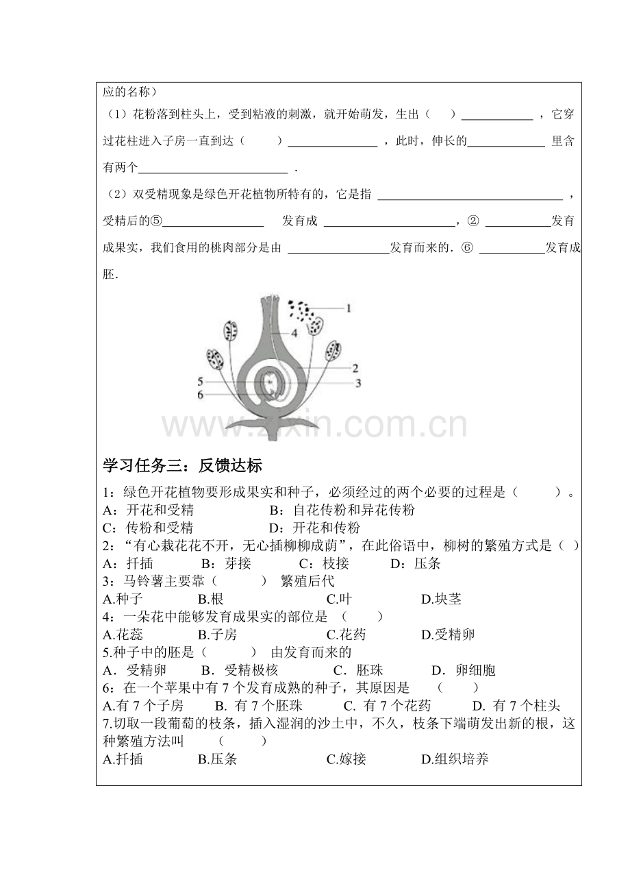 植物的生殖前置作业-(2).doc_第2页
