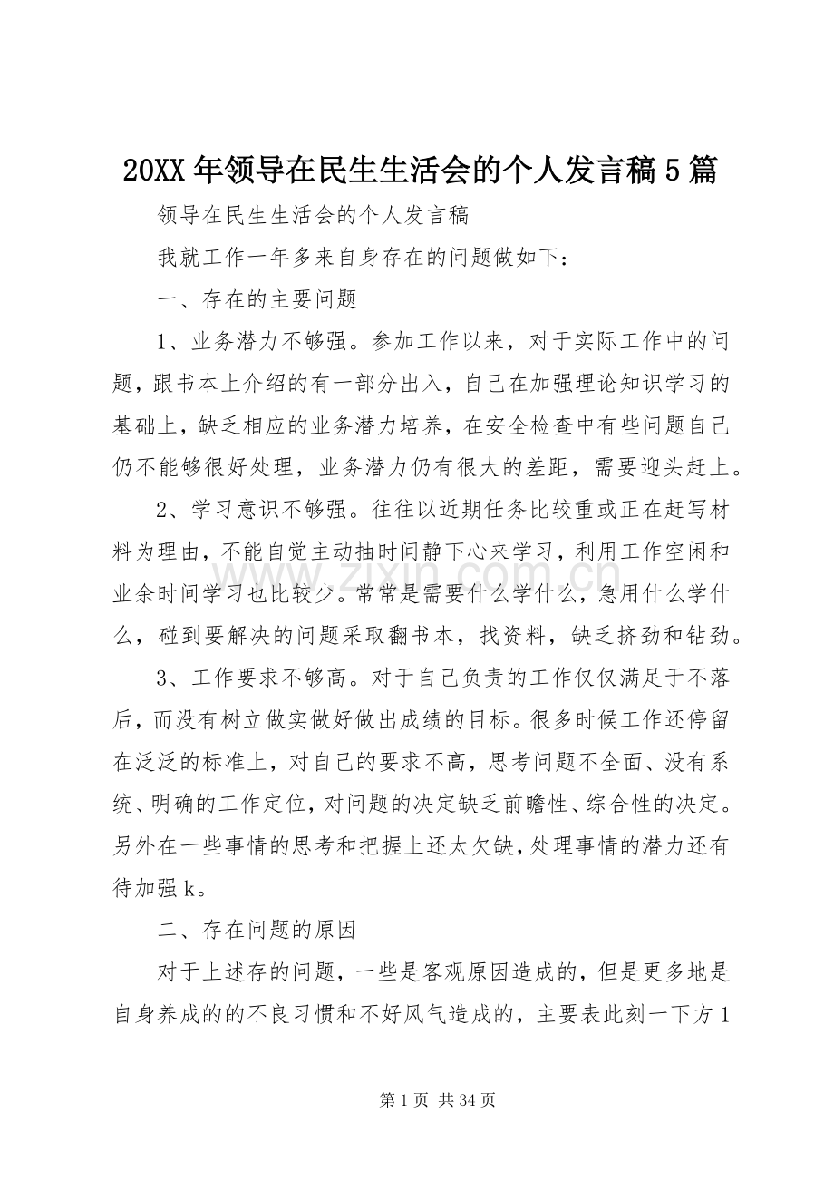 20XX年领导在民生生活会的个人发言5篇.docx_第1页