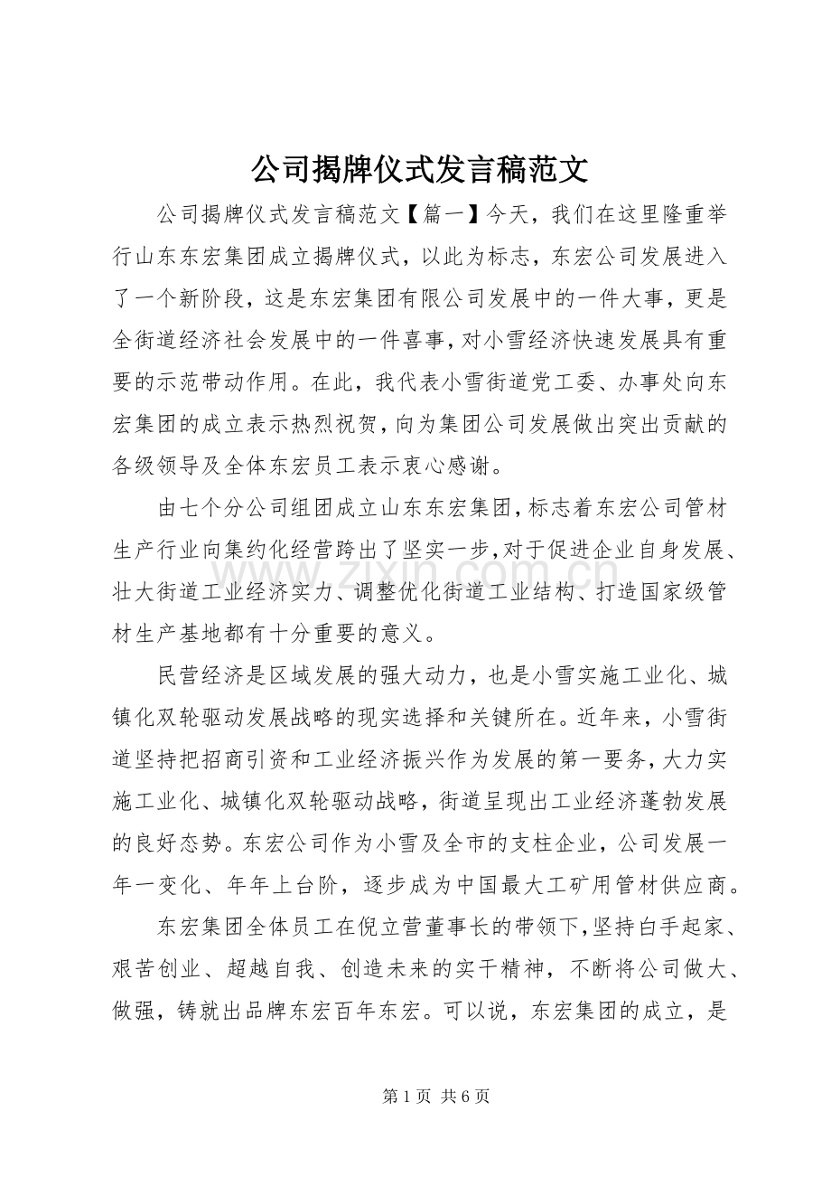 公司揭牌仪式发言范文.docx_第1页