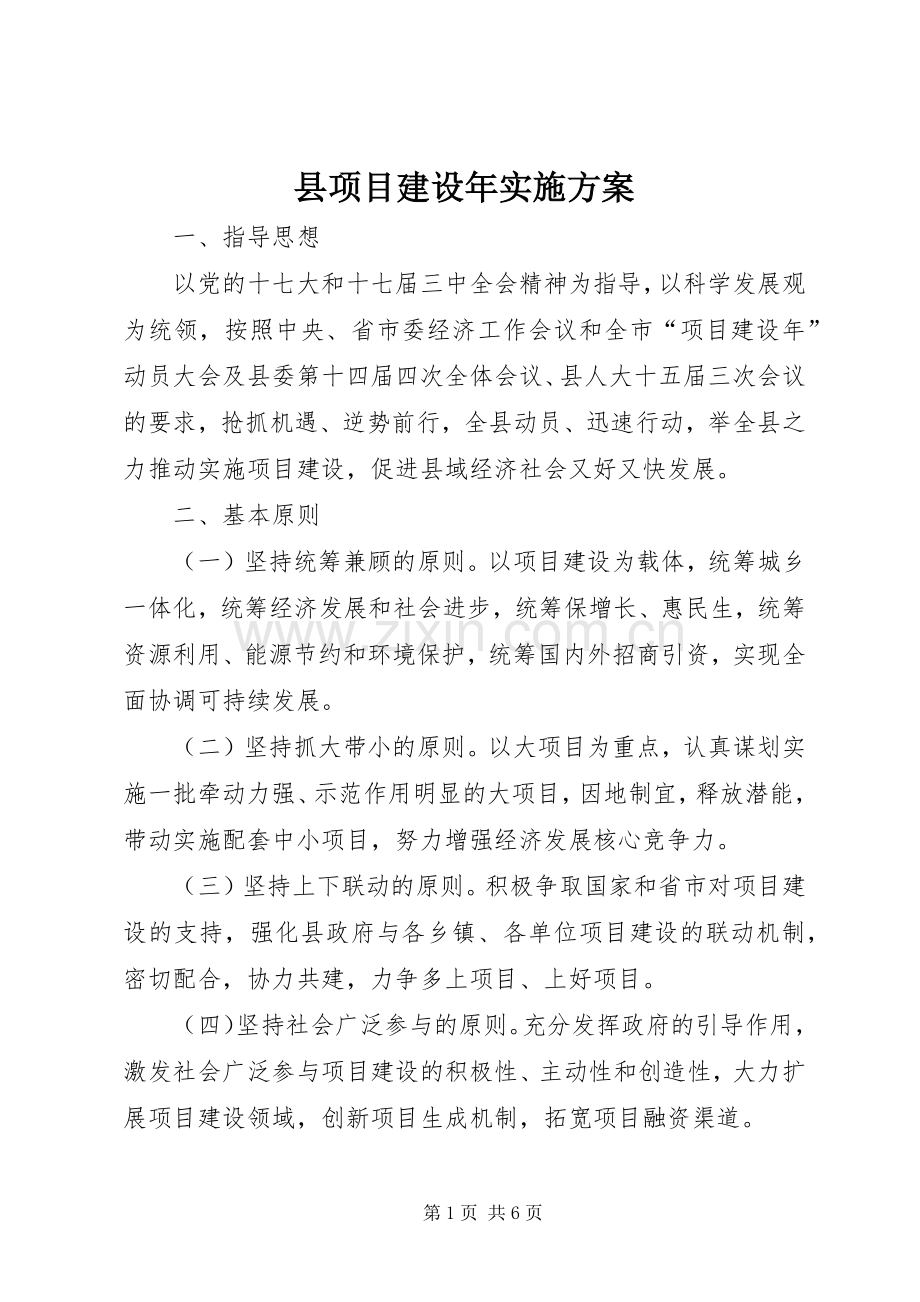 县项目建设年方案.docx_第1页