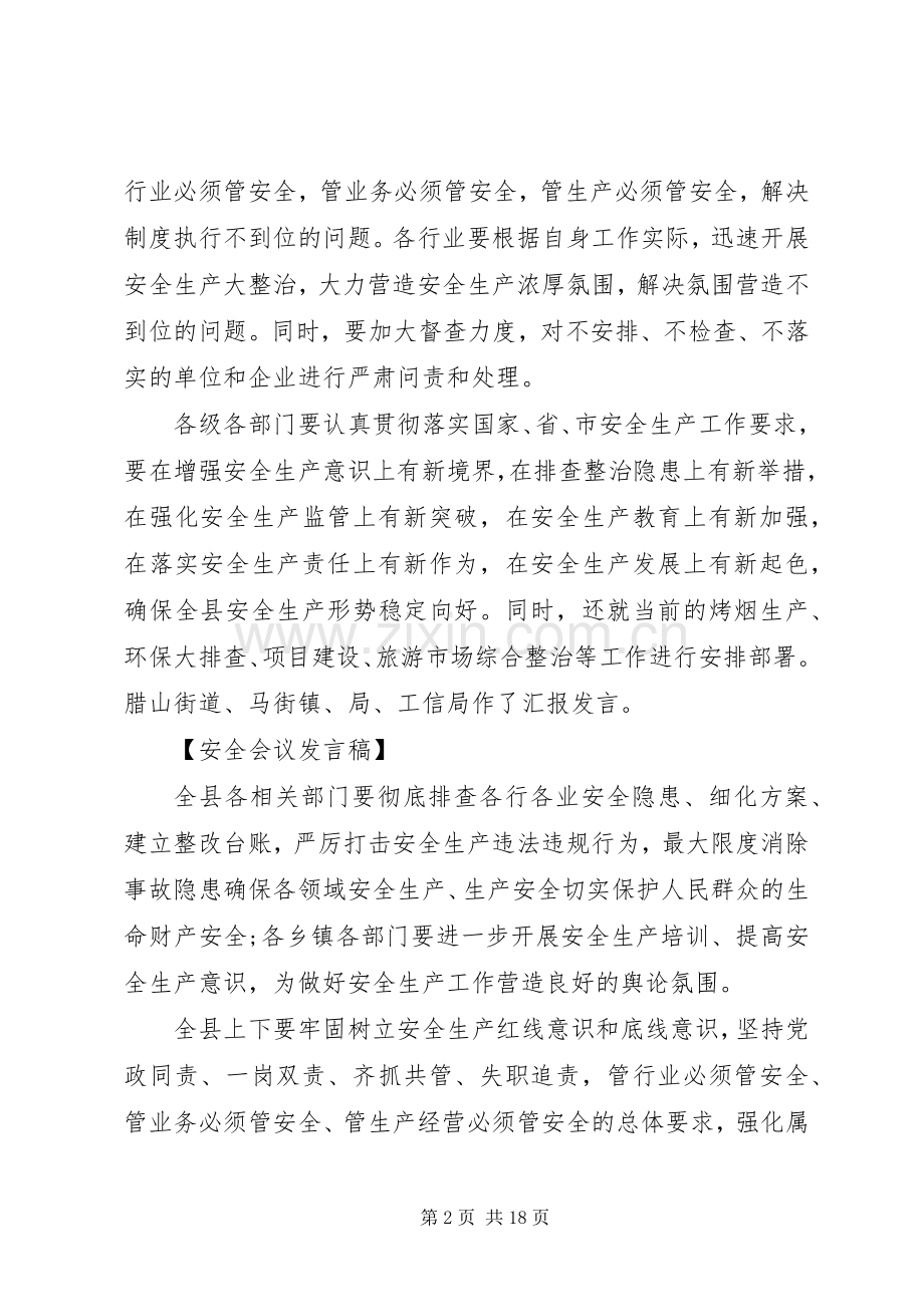 20XX年全县安全生产工作会议发言五篇.docx_第2页