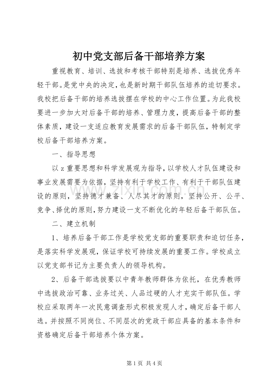 初中党支部后备干部培养实施方案.docx_第1页