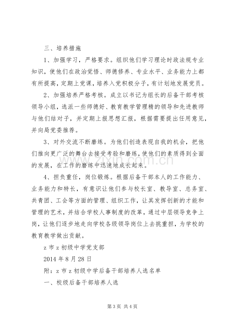 初中党支部后备干部培养实施方案.docx_第3页