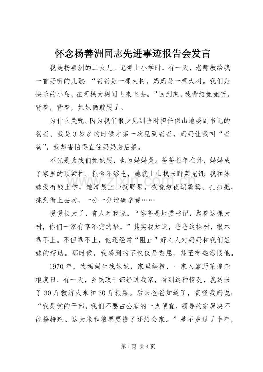 怀念杨善洲同志先进事迹报告会发言稿.docx_第1页