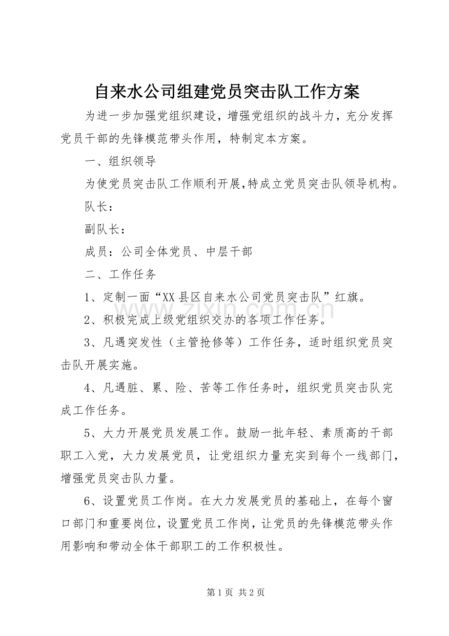 自来水公司组建党员突击队工作实施方案.docx_第1页