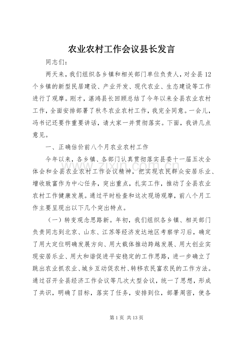 农业农村工作会议县长发言.docx_第1页