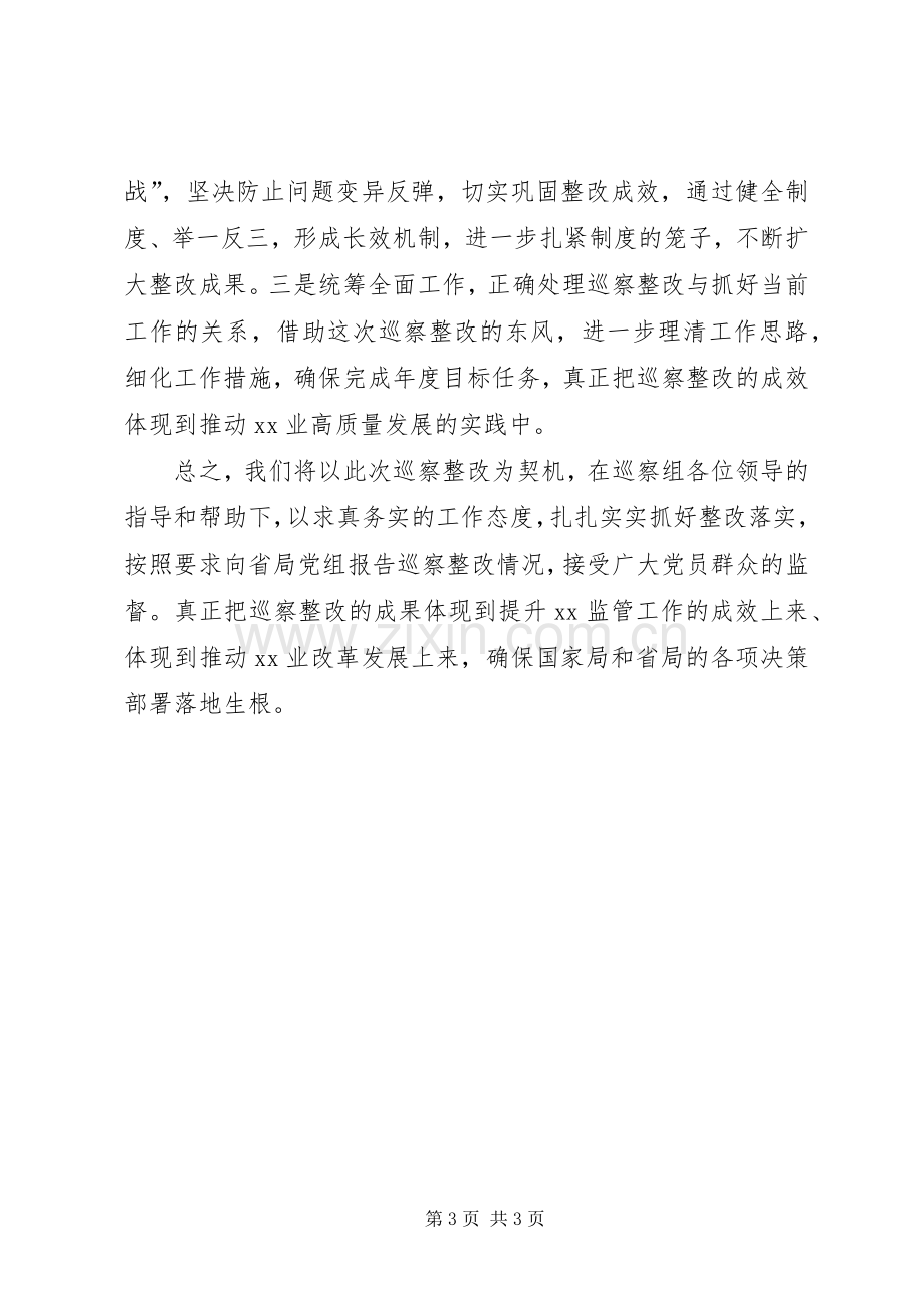 在XX年巡察工作情况反馈会议上的表态发言稿.docx_第3页