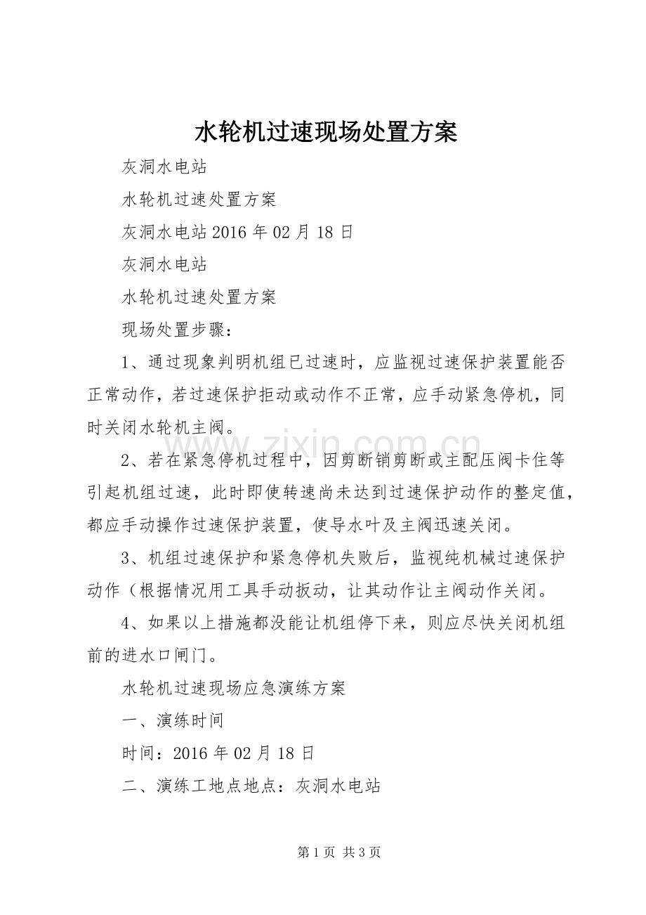 水轮机过速现场处置实施方案.docx_第1页