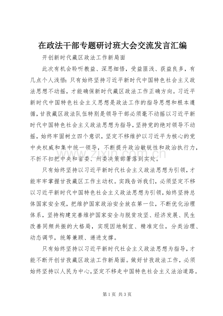 在政法干部专题研讨班大会交流发言汇编.docx_第1页