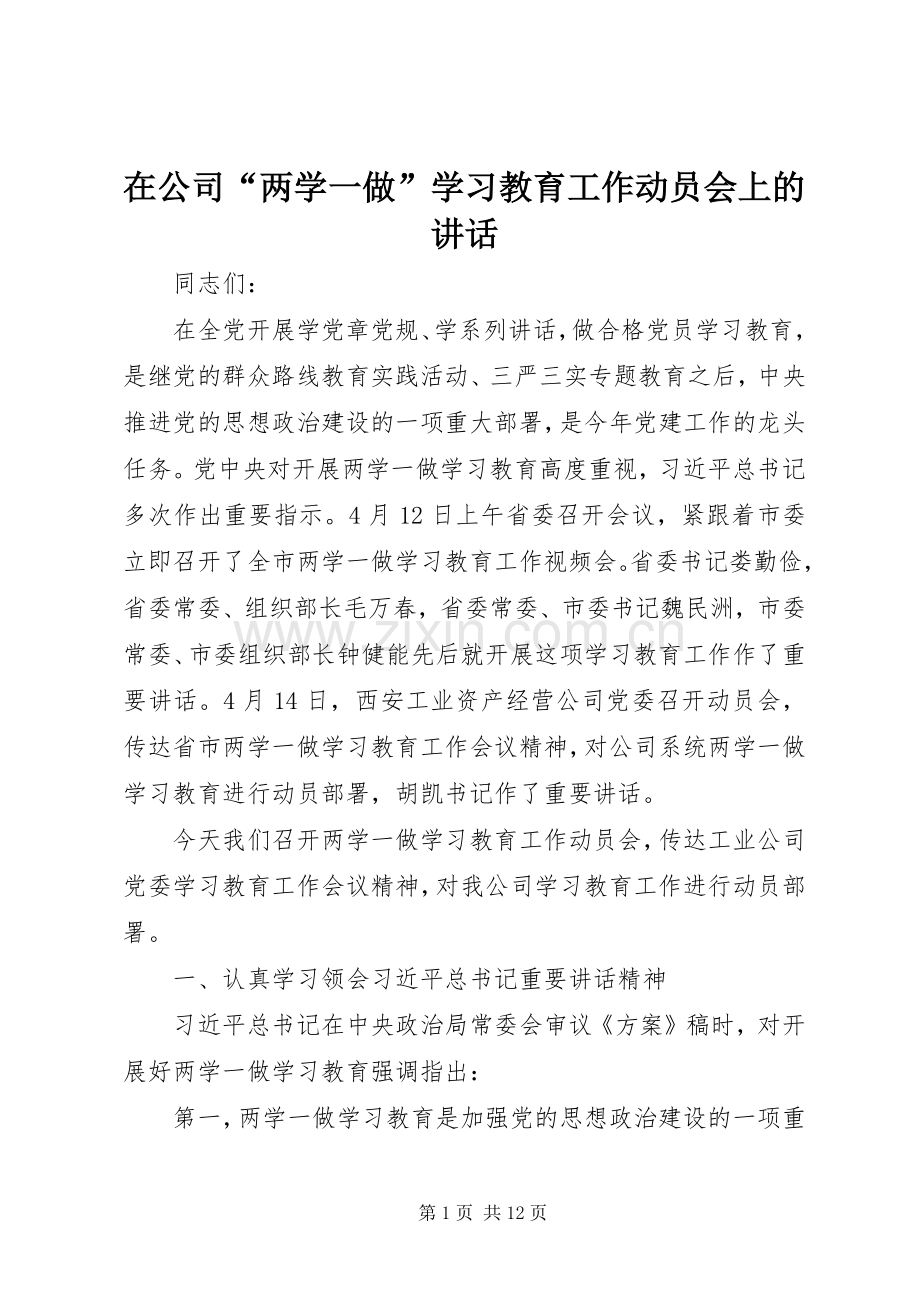 在公司“两学一做”学习教育工作动员会上的讲话.docx_第1页