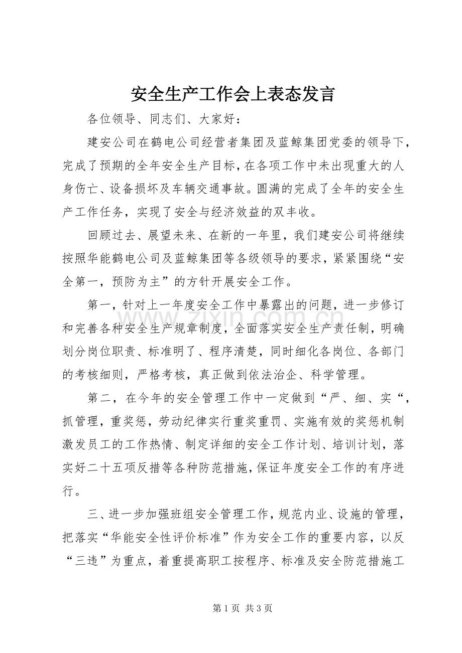 安全生产工作会上表态发言稿.docx_第1页