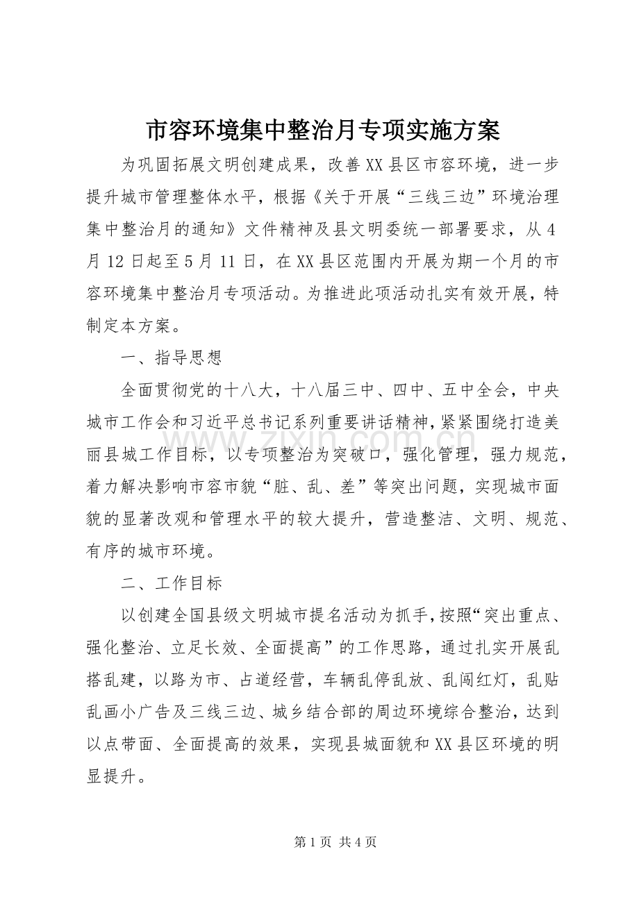 市容环境集中整治月专项方案.docx_第1页