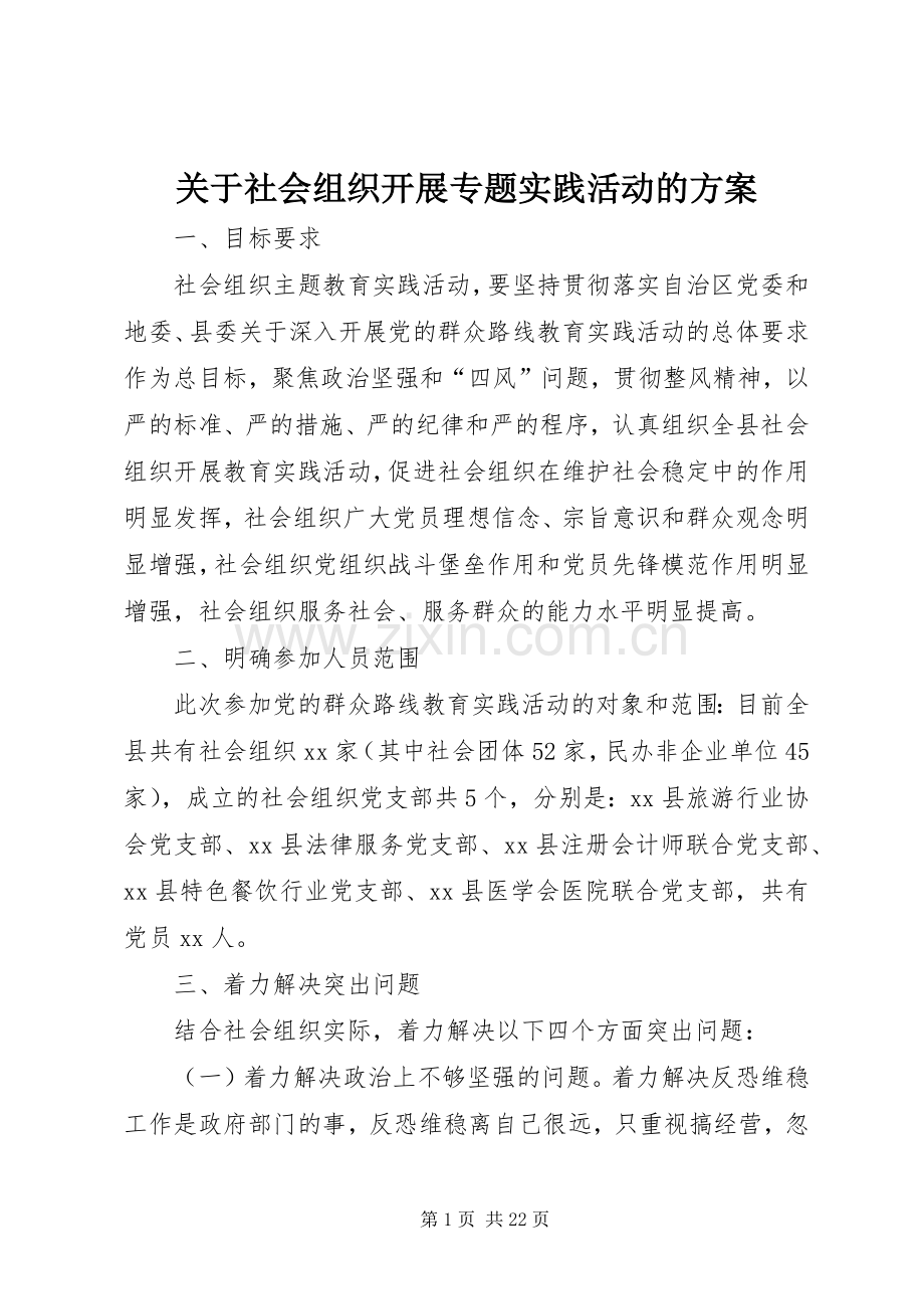 关于社会组织开展专题实践活动的实施方案.docx_第1页