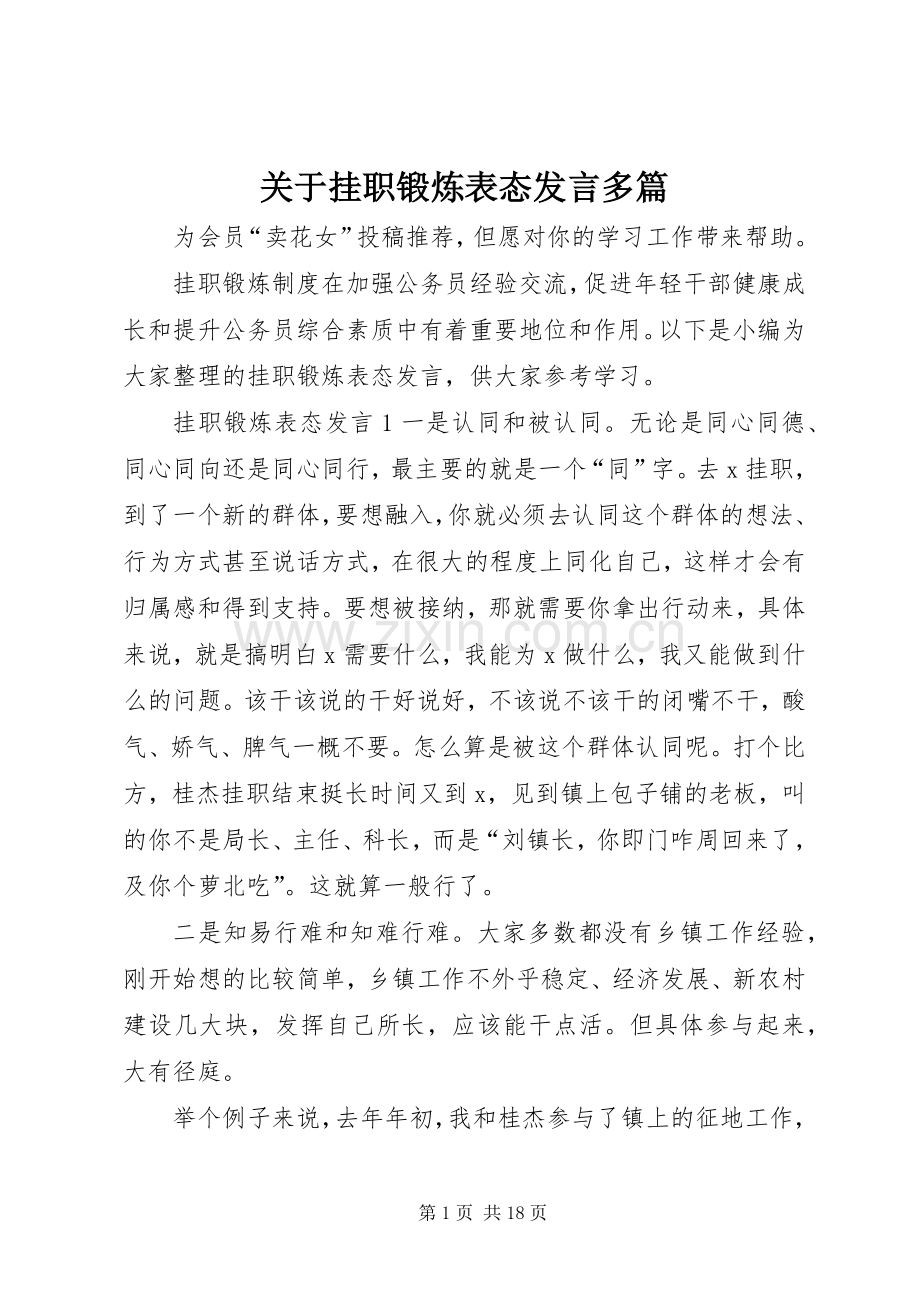 关于挂职锻炼表态发言多篇.docx_第1页