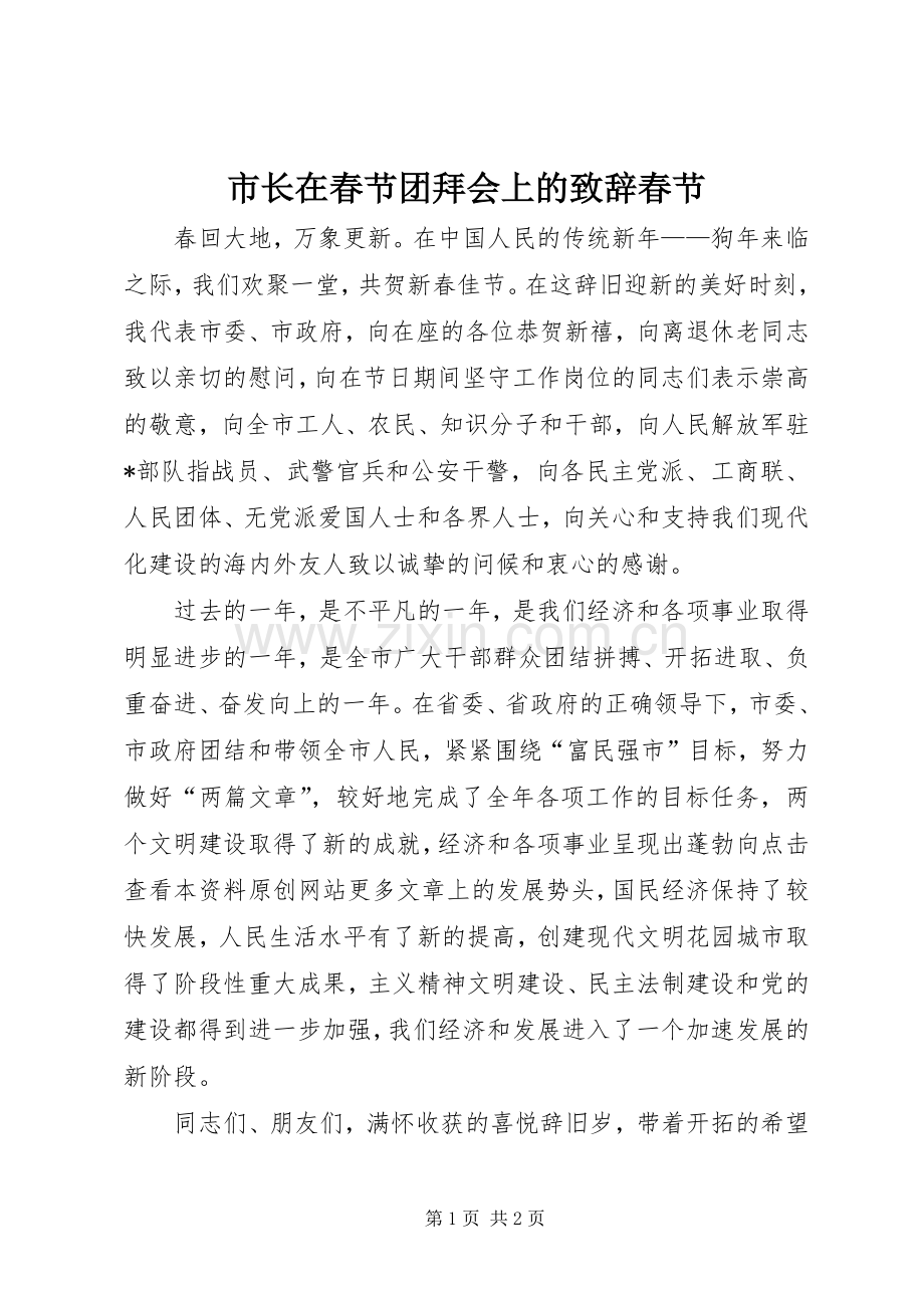 市长在春节团拜会上的演讲致辞春节.docx_第1页