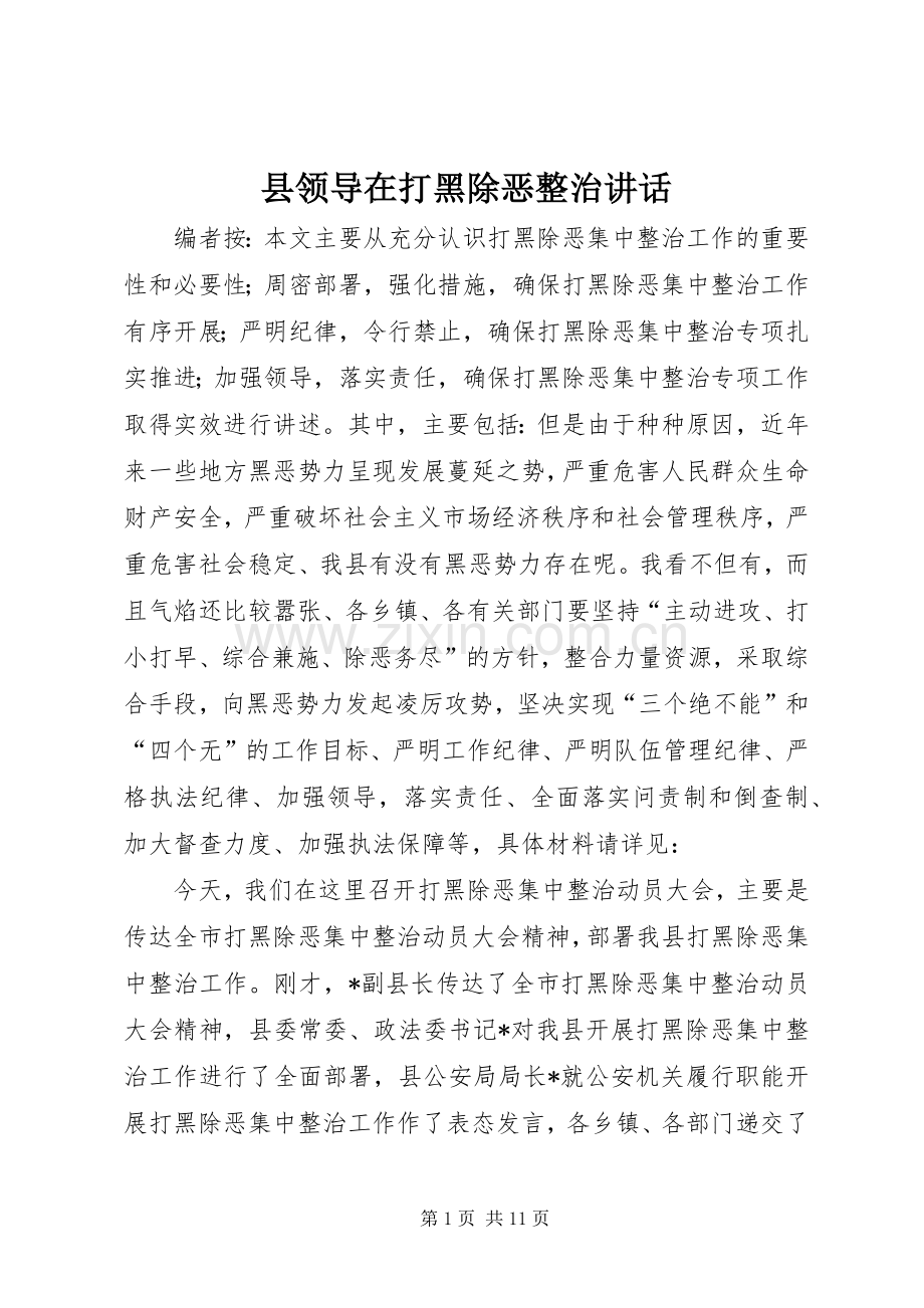 县领导在打黑除恶整治讲话.docx_第1页