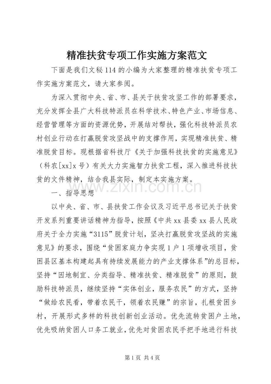 精准扶贫专项工作方案范文.docx_第1页