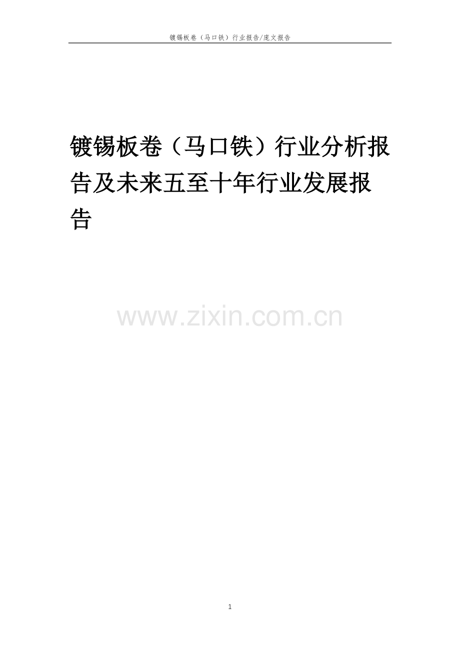 2023年镀锡板卷(马口铁)行业分析报告及未来五至十年行业发展报告.doc_第1页