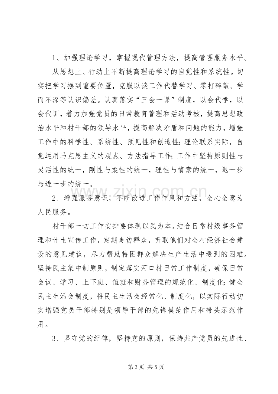 村党支部保持党的纯洁性主题教育实践活动整改落实实施方案.docx_第3页