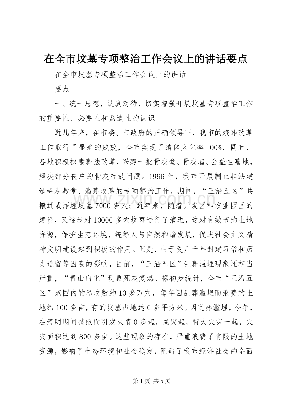 在全市坟墓专项整治工作会议上的讲话要点.docx_第1页