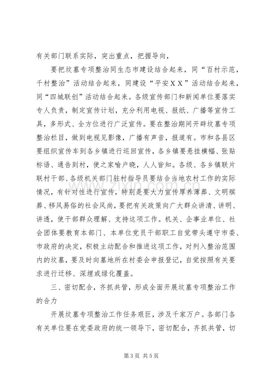 在全市坟墓专项整治工作会议上的讲话要点.docx_第3页