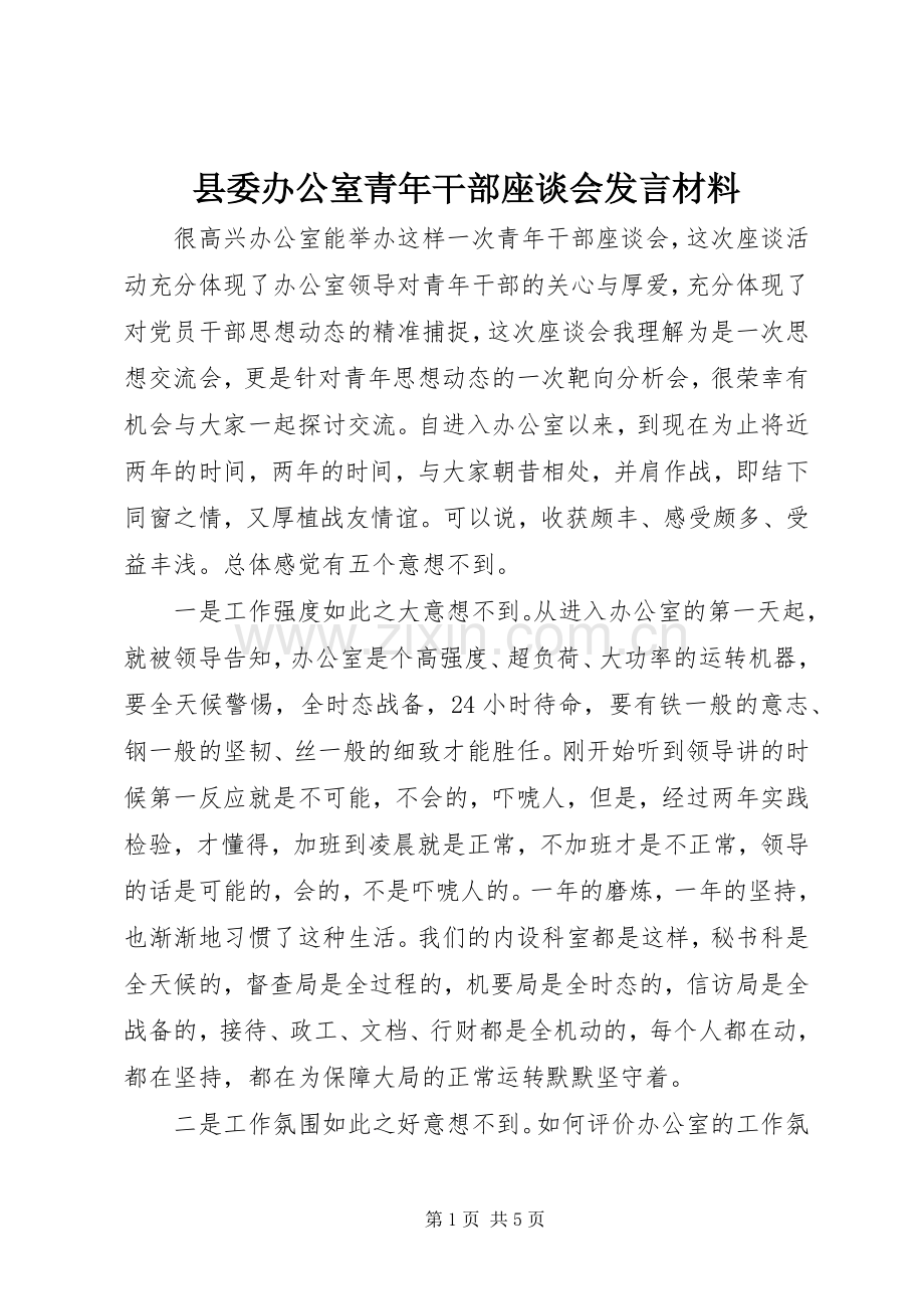 县委办公室青年干部座谈会发言材料.docx_第1页