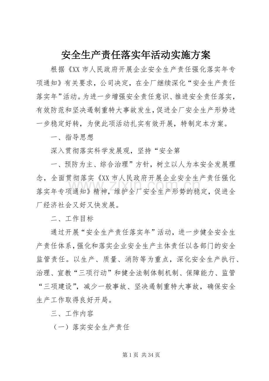 安全生产责任落实年活动方案.docx_第1页