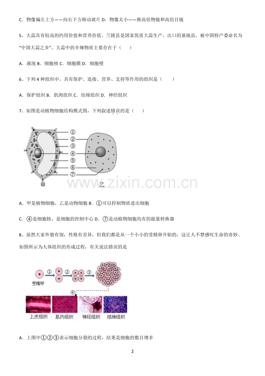 (文末附答案)2022届初中生物生物体的结构层次知识点总结归纳.pdf_第2页