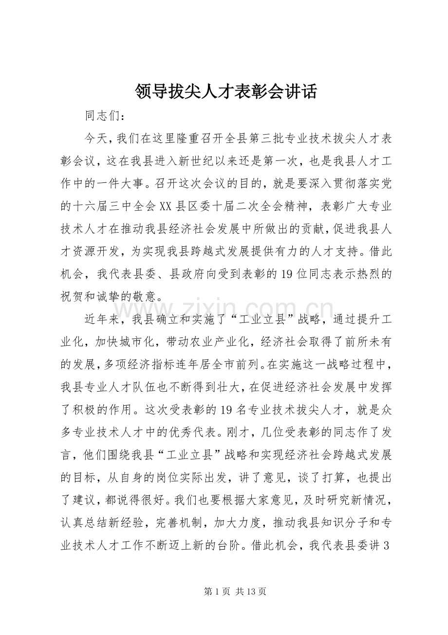 领导拔尖人才表彰会讲话.docx_第1页