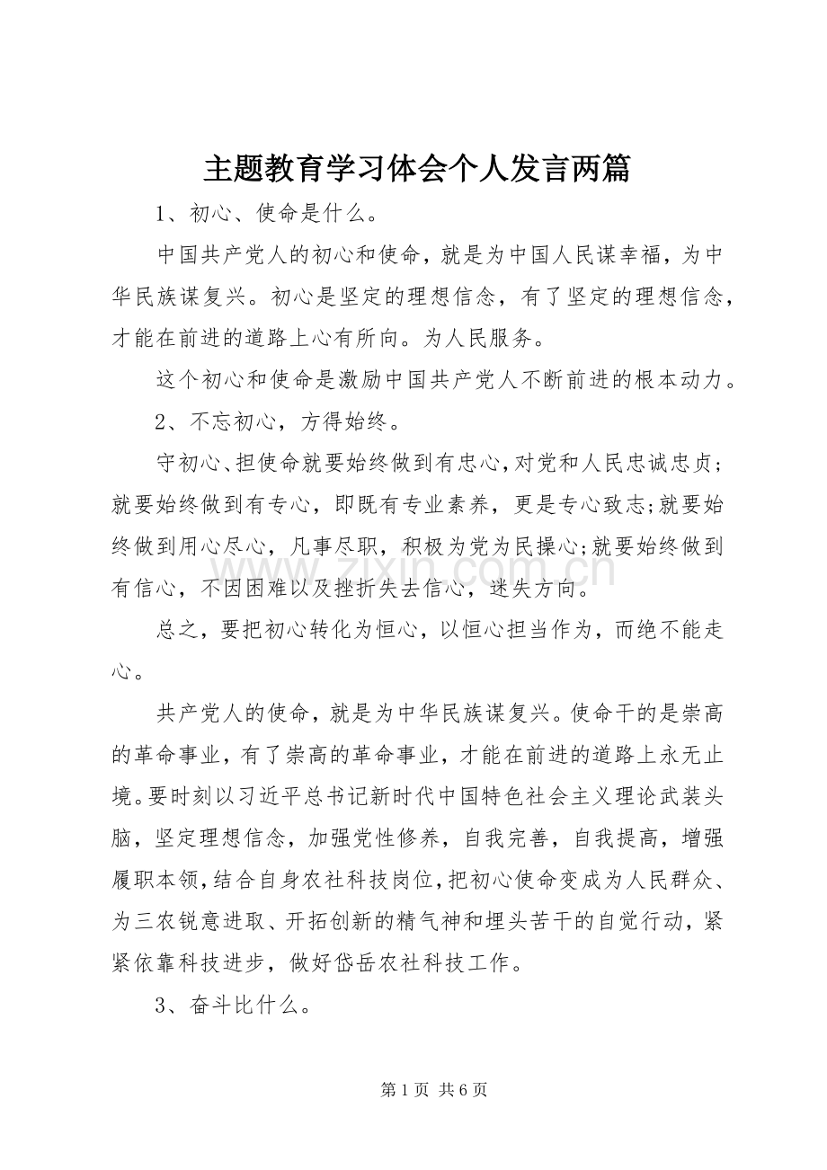 主题教育学习体会个人发言稿两篇.docx_第1页