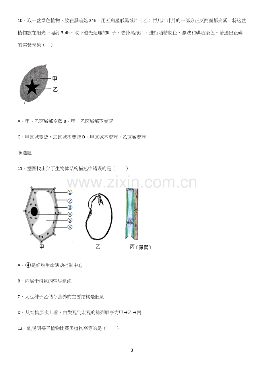 通用版初中生物七年级上册第三单元生物圈中的绿色植物必练题总结.docx_第3页