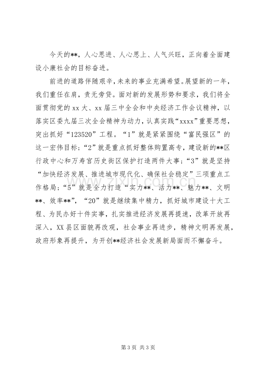 新春座谈会演讲致辞.docx_第3页