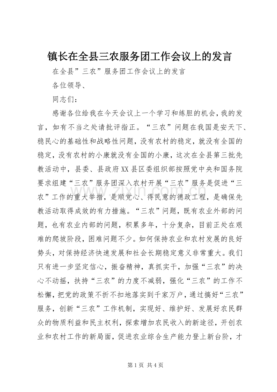 镇长在全县三农服务团工作会议上的发言稿.docx_第1页