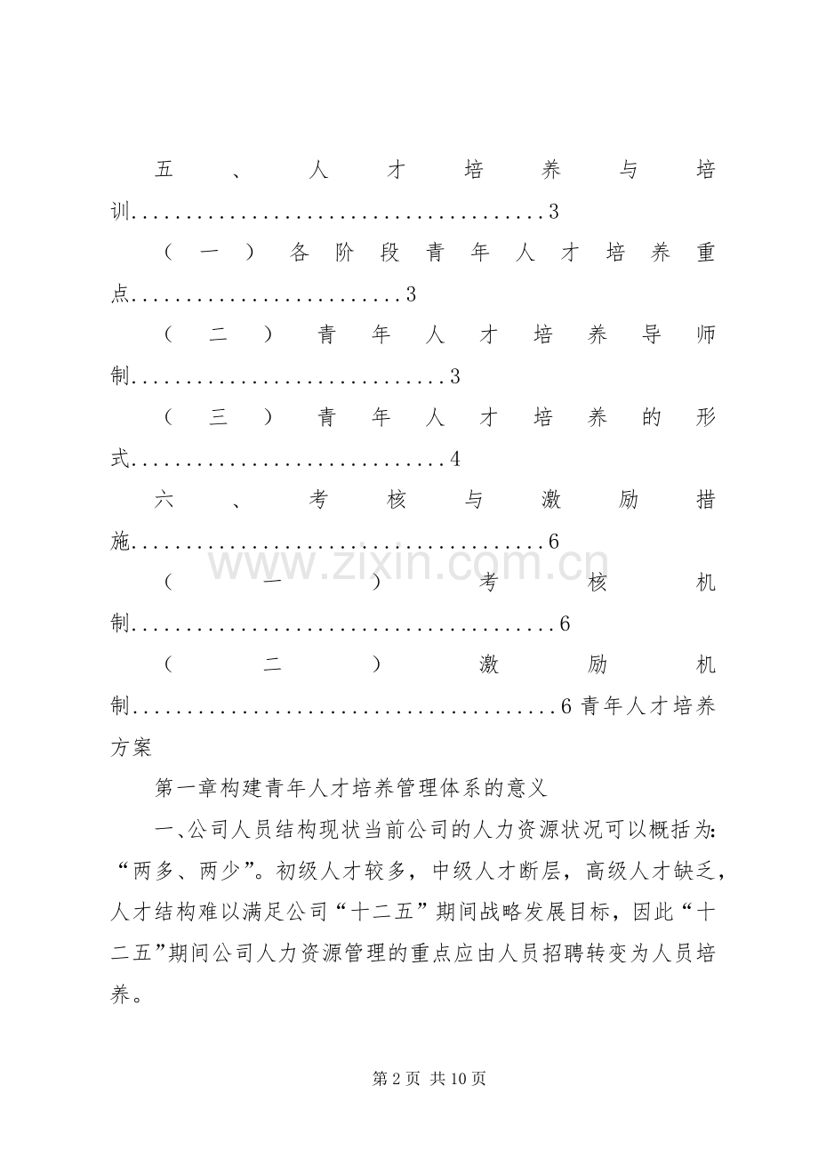 公司青年人才培养实施方案[模版].docx_第2页