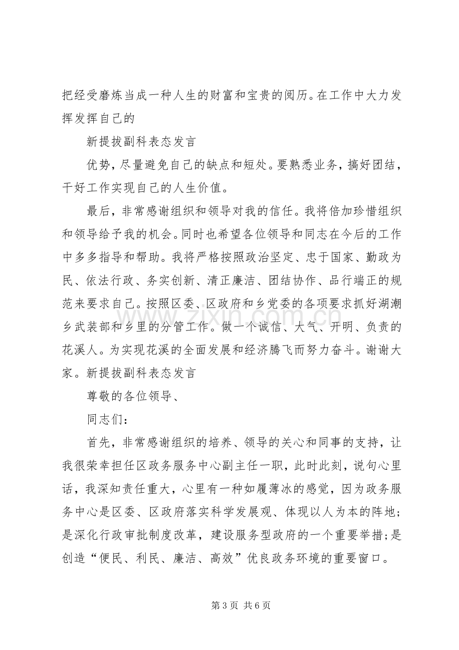 干部履新表态发言稿.docx_第3页