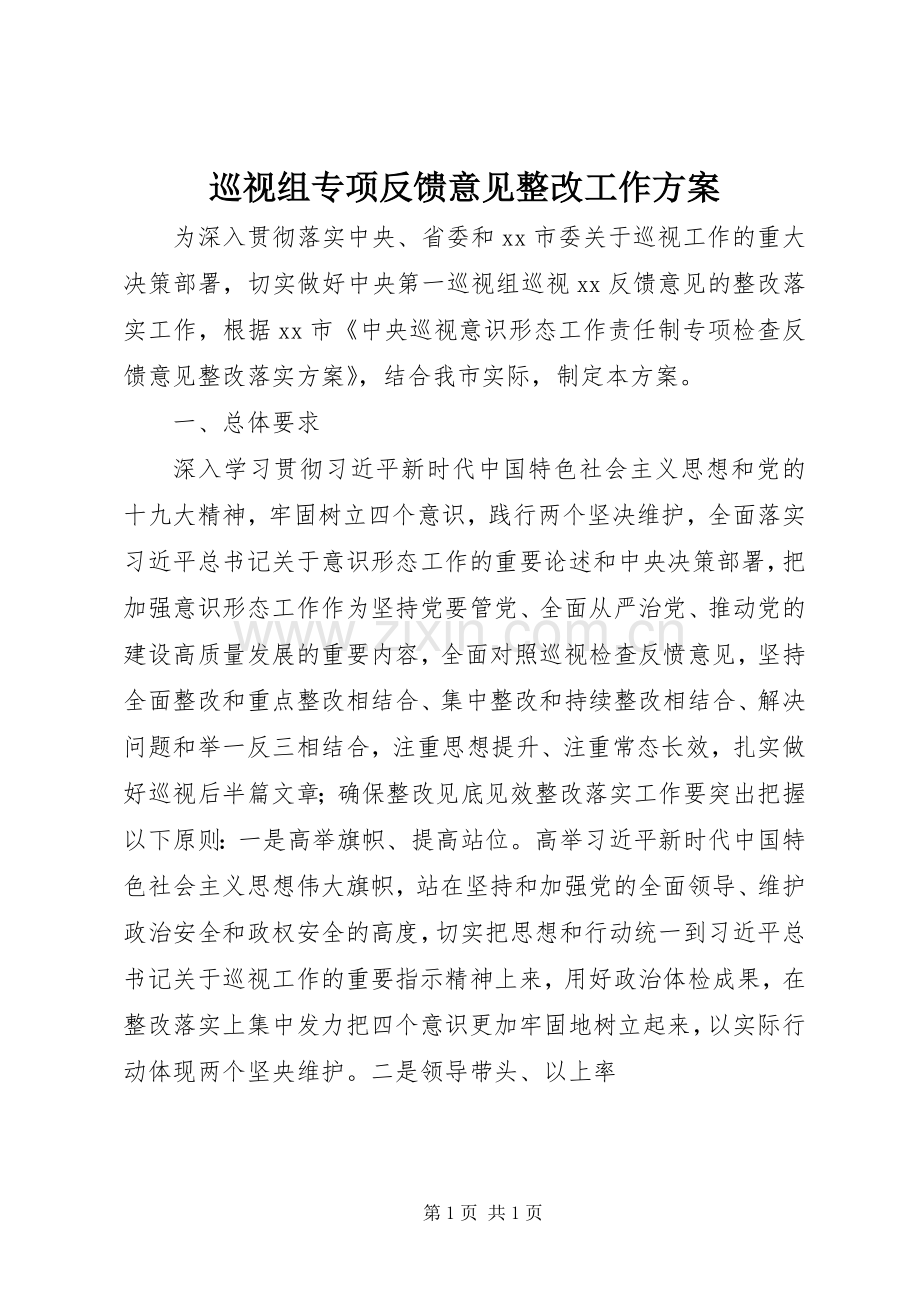 巡视组专项反馈意见整改工作实施方案.docx_第1页