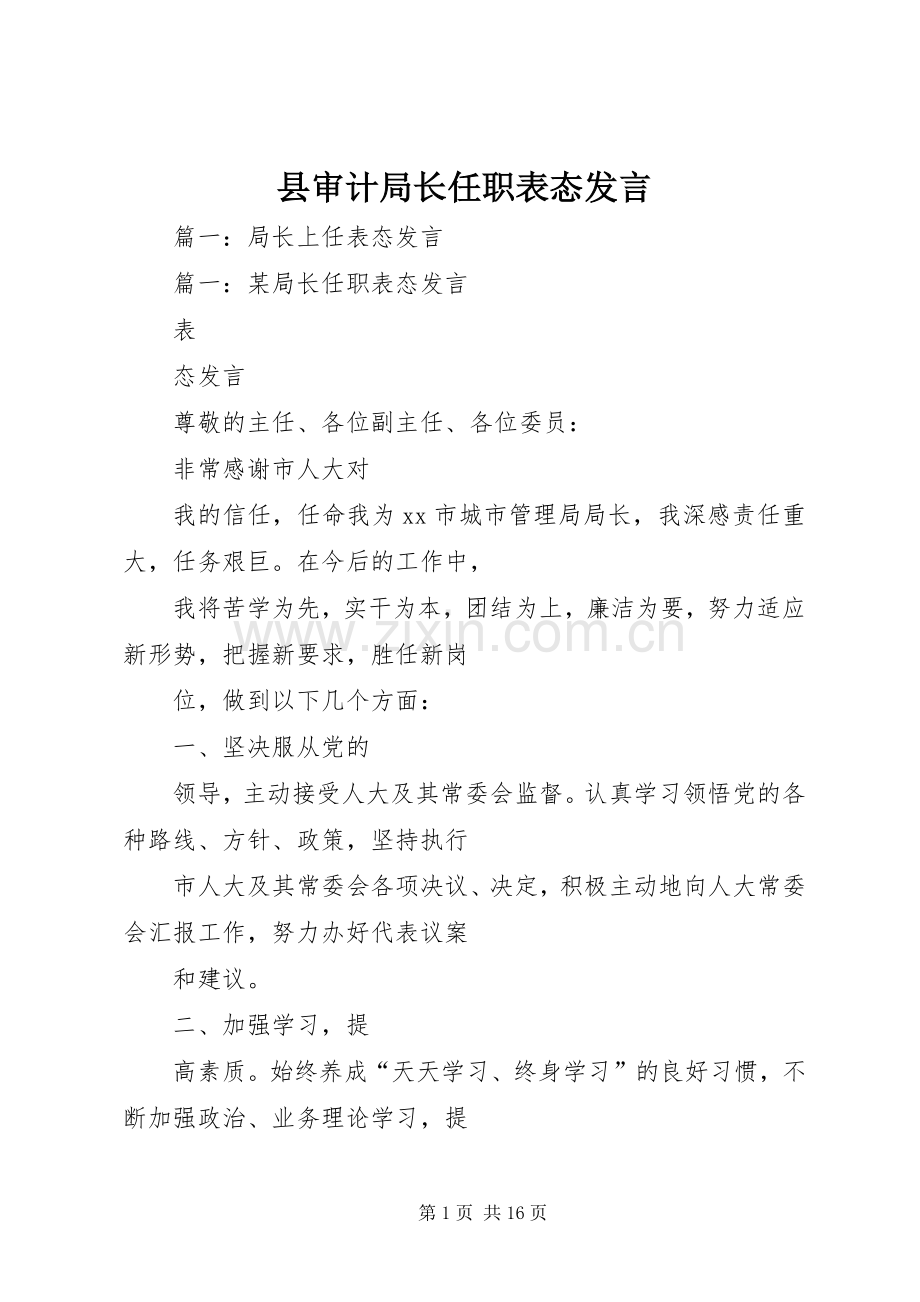 县审计局长任职表态发言.docx_第1页