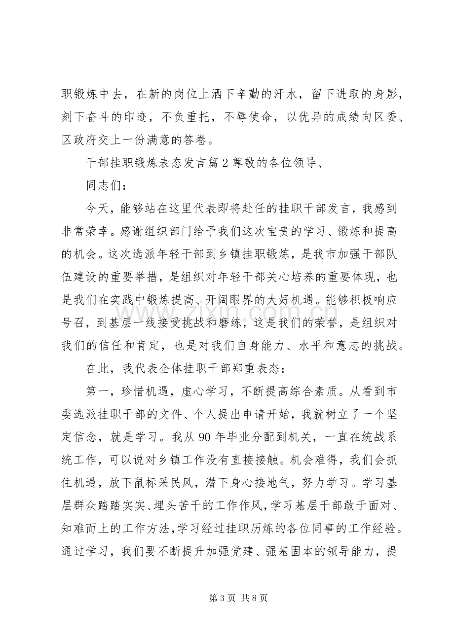 干部挂职锻炼表态发言.docx_第3页