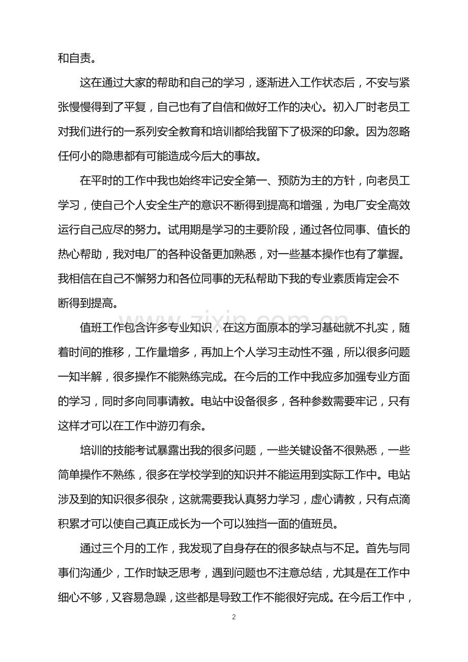 2022年公司普通员工个人试用期工作总结.doc_第2页