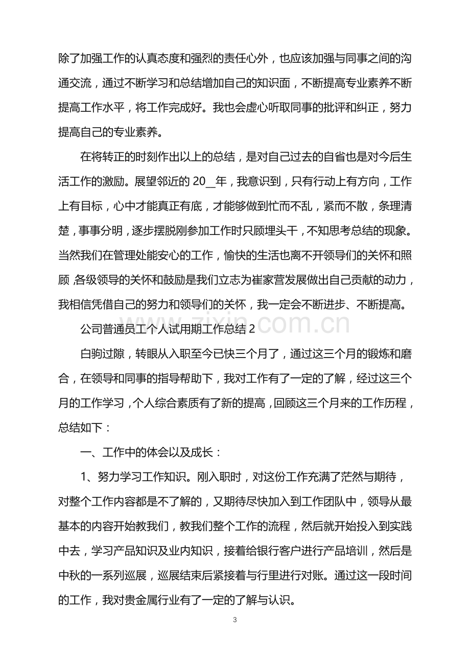 2022年公司普通员工个人试用期工作总结.doc_第3页