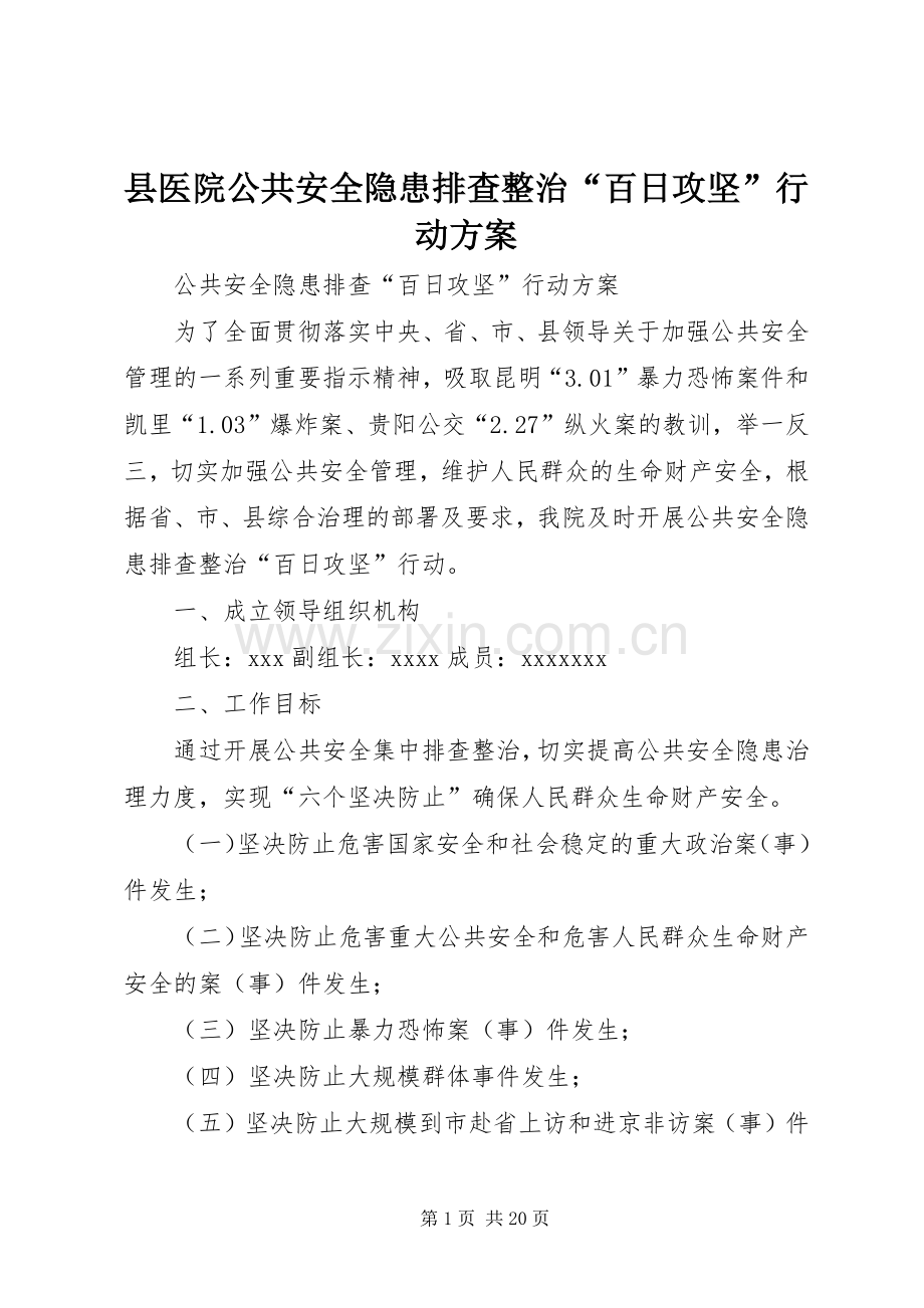 县医院公共安全隐患排查整治“百日攻坚”行动实施方案.docx_第1页