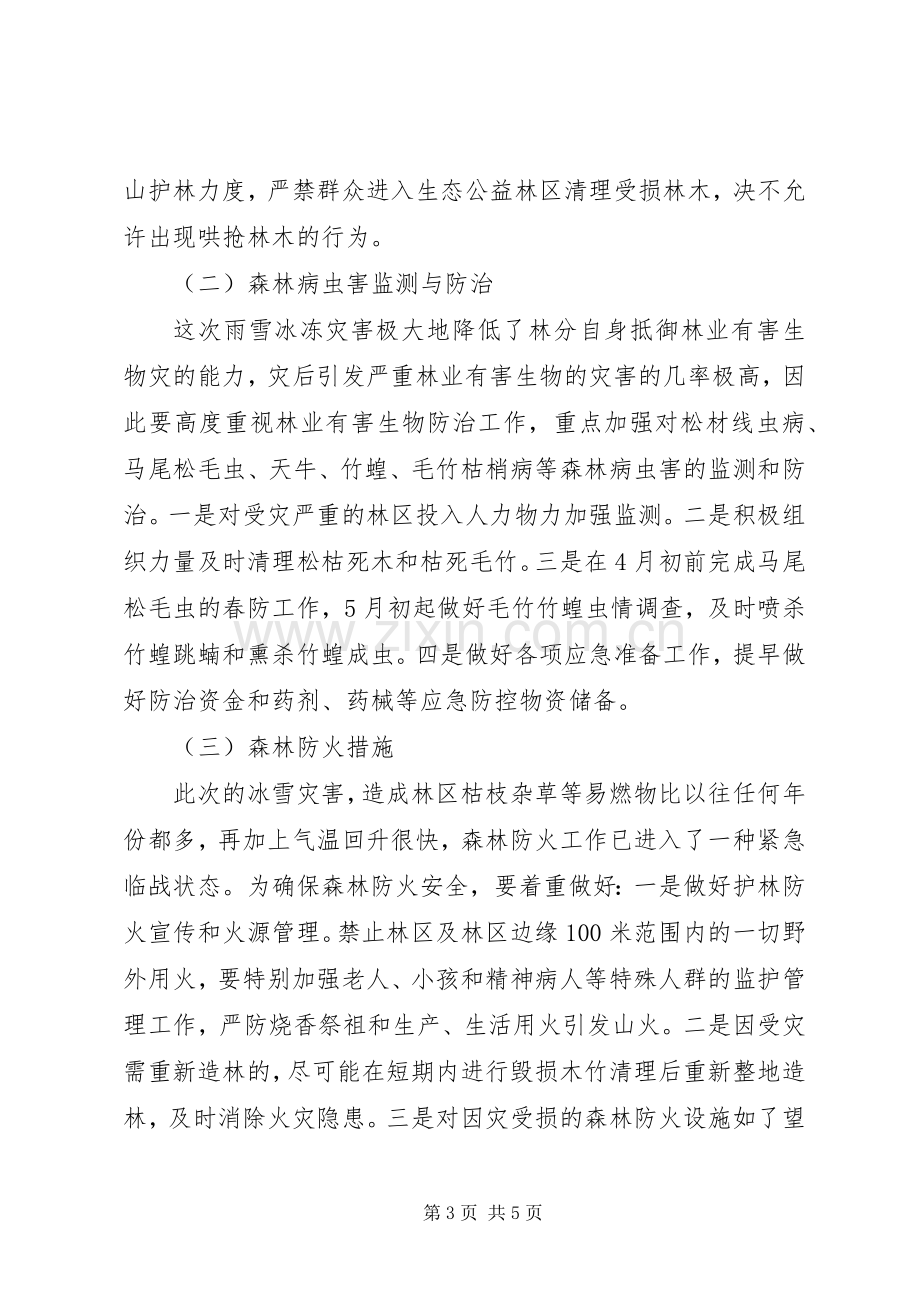 恢复林业生产条件实施方案 .docx_第3页