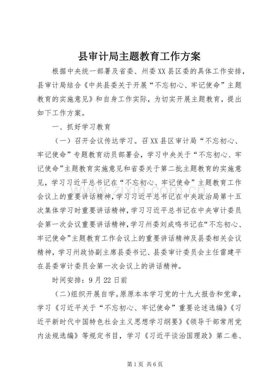 县审计局主题教育工作实施方案.docx_第1页