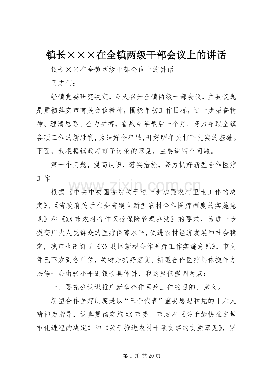 镇长×××在全镇两级干部会议上的讲话.docx_第1页