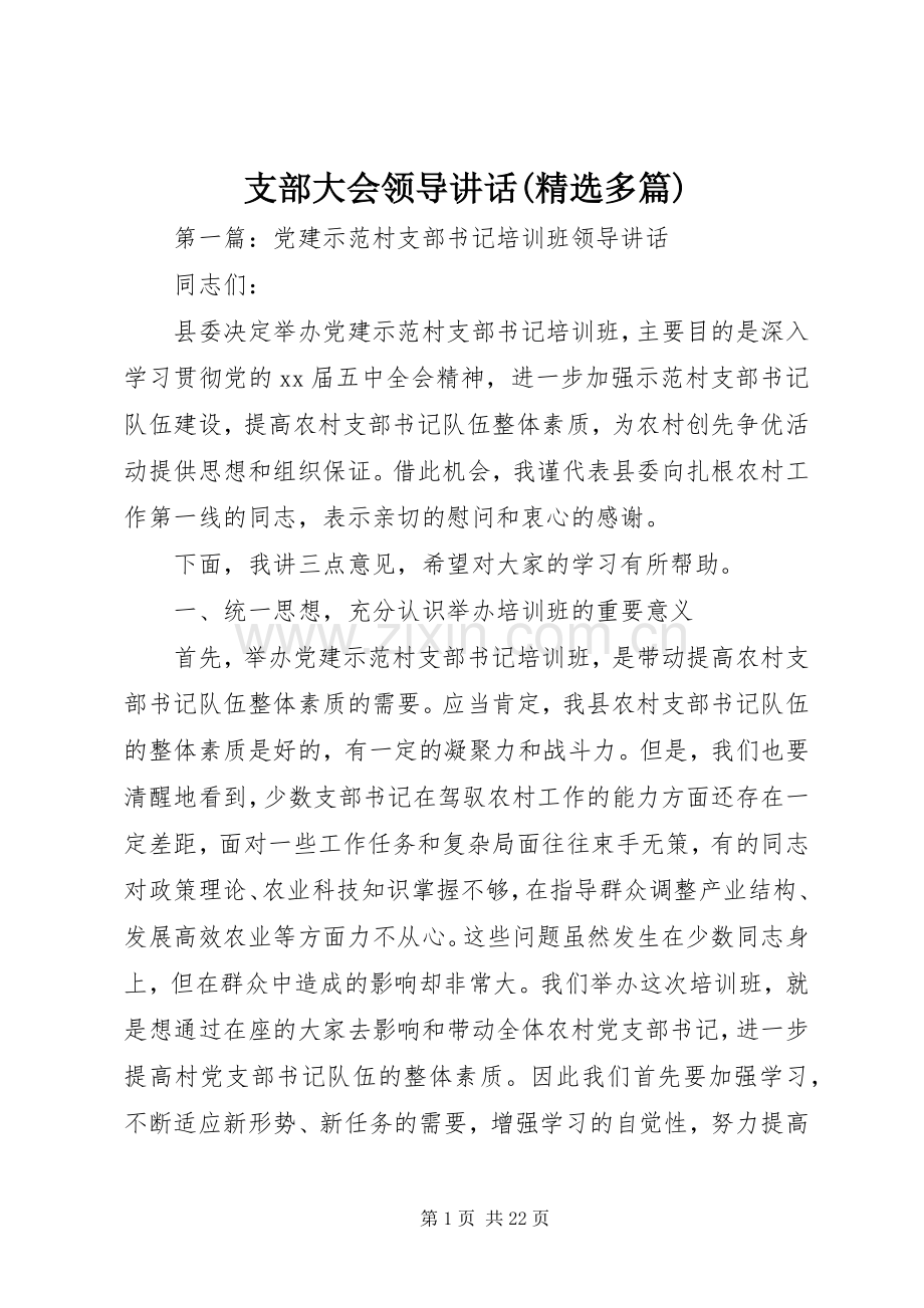 支部大会领导讲话(多篇).docx_第1页