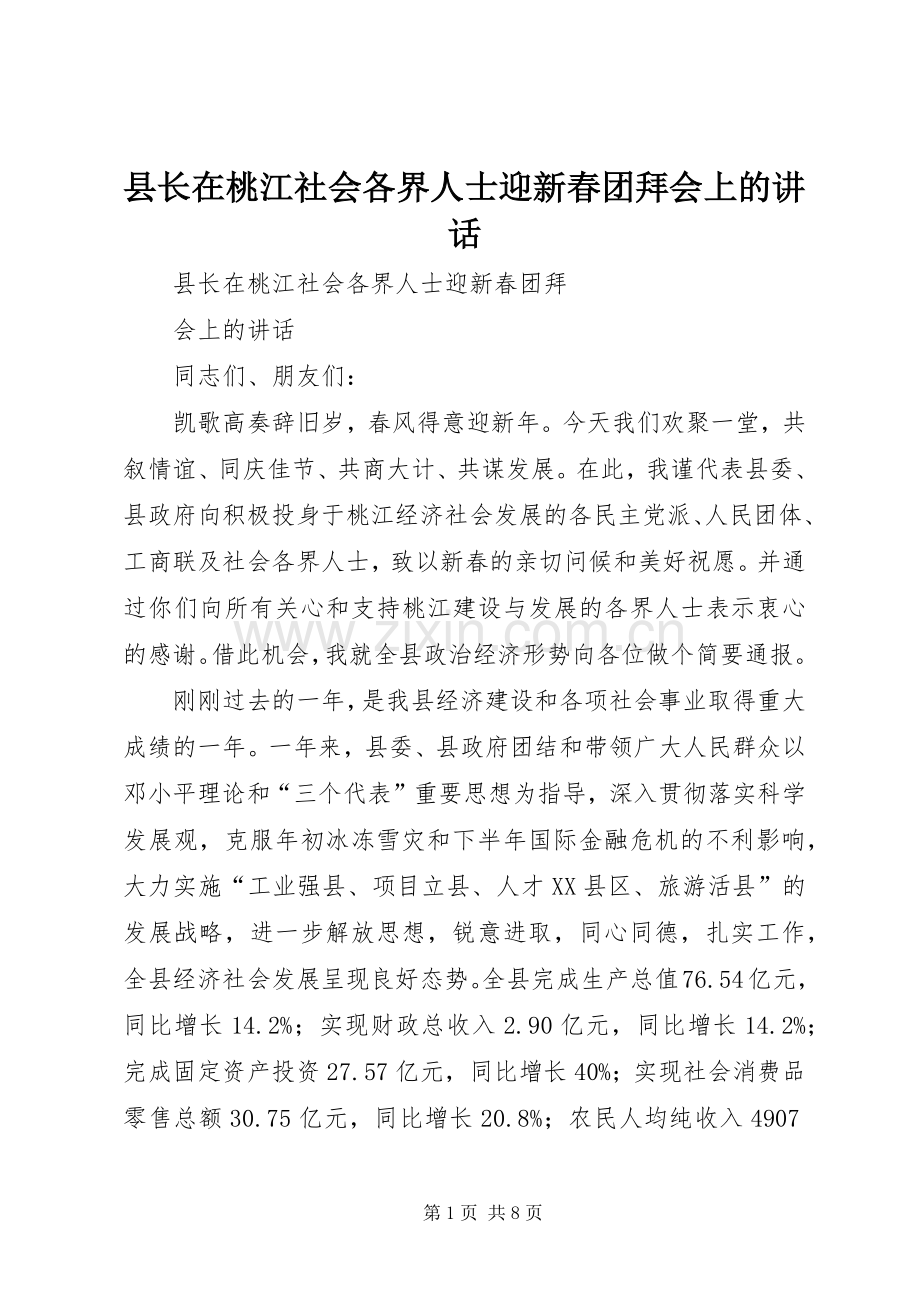 县长在桃江社会各界人士迎新春团拜会上的讲话.docx_第1页