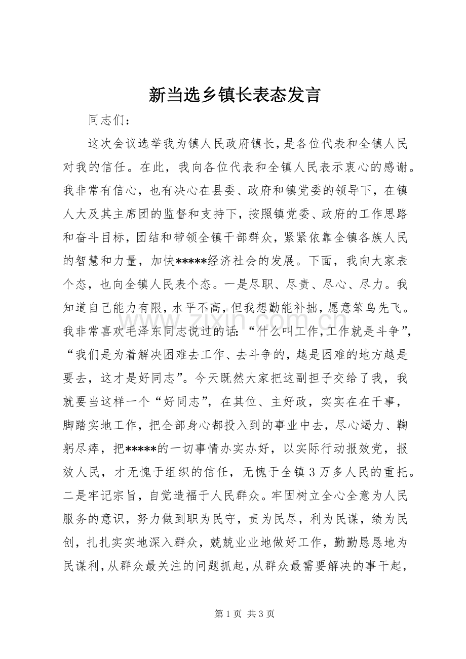 新当选乡镇长表态发言.docx_第1页