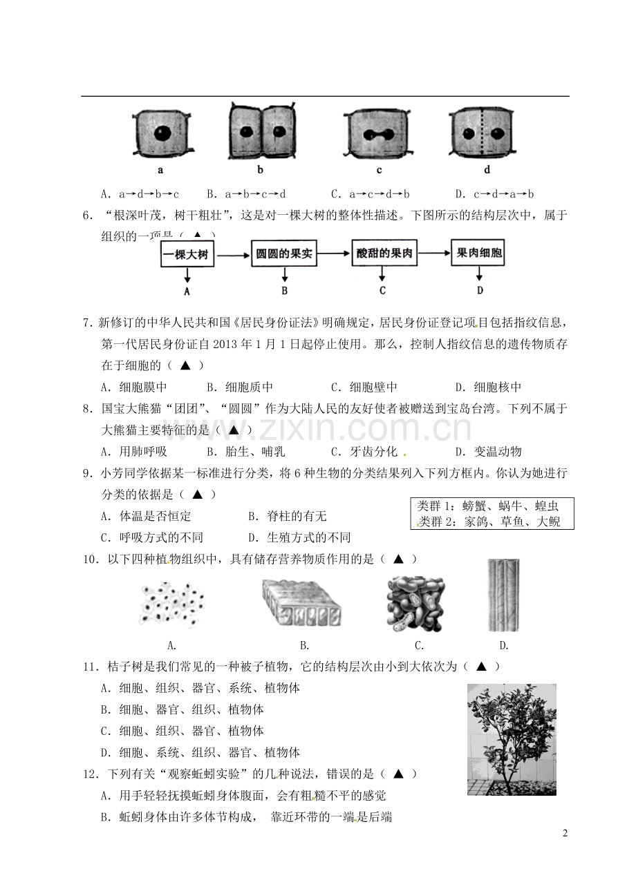 浙江省建德市2012-2013学年七年级科学上学期期中试题-新人教版.doc_第2页