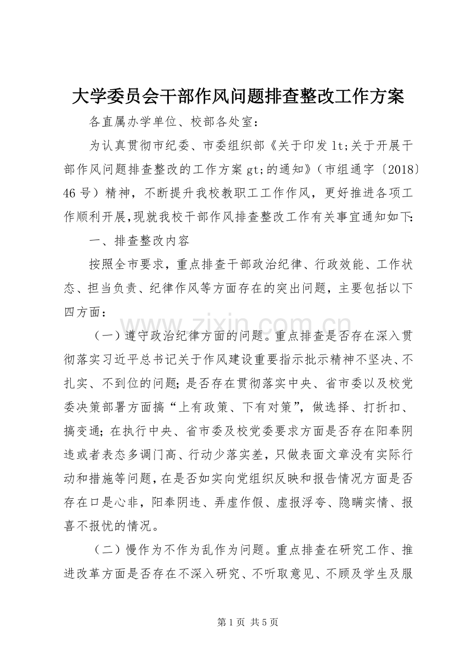 大学委员会干部作风问题排查整改工作实施方案.docx_第1页